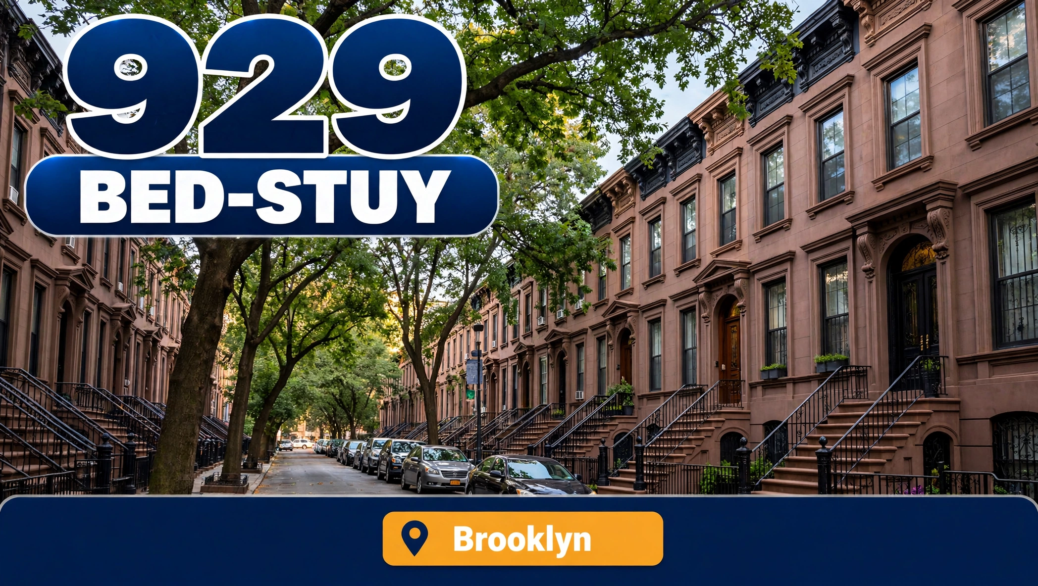 929 area code Bedford-Stuyvesant Brooklyn guide