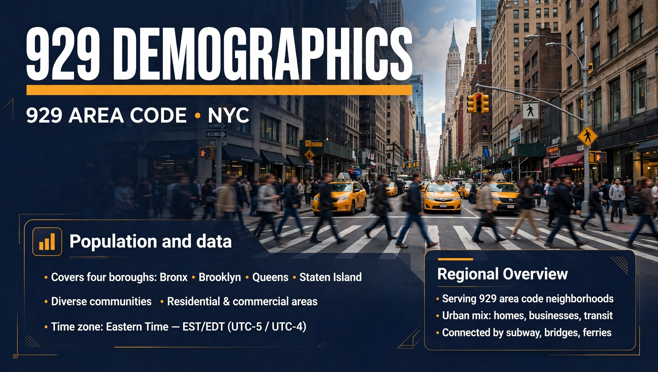 929 area code demographics guide