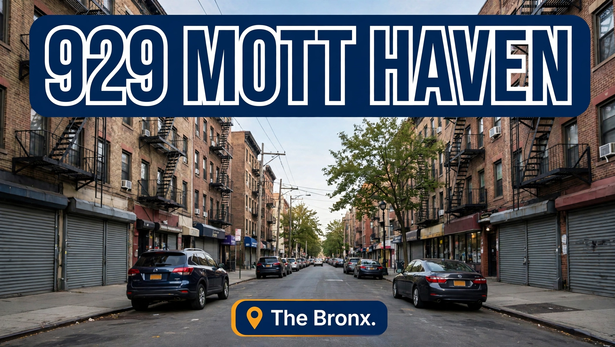 929 area code Mott Haven Bronx guide