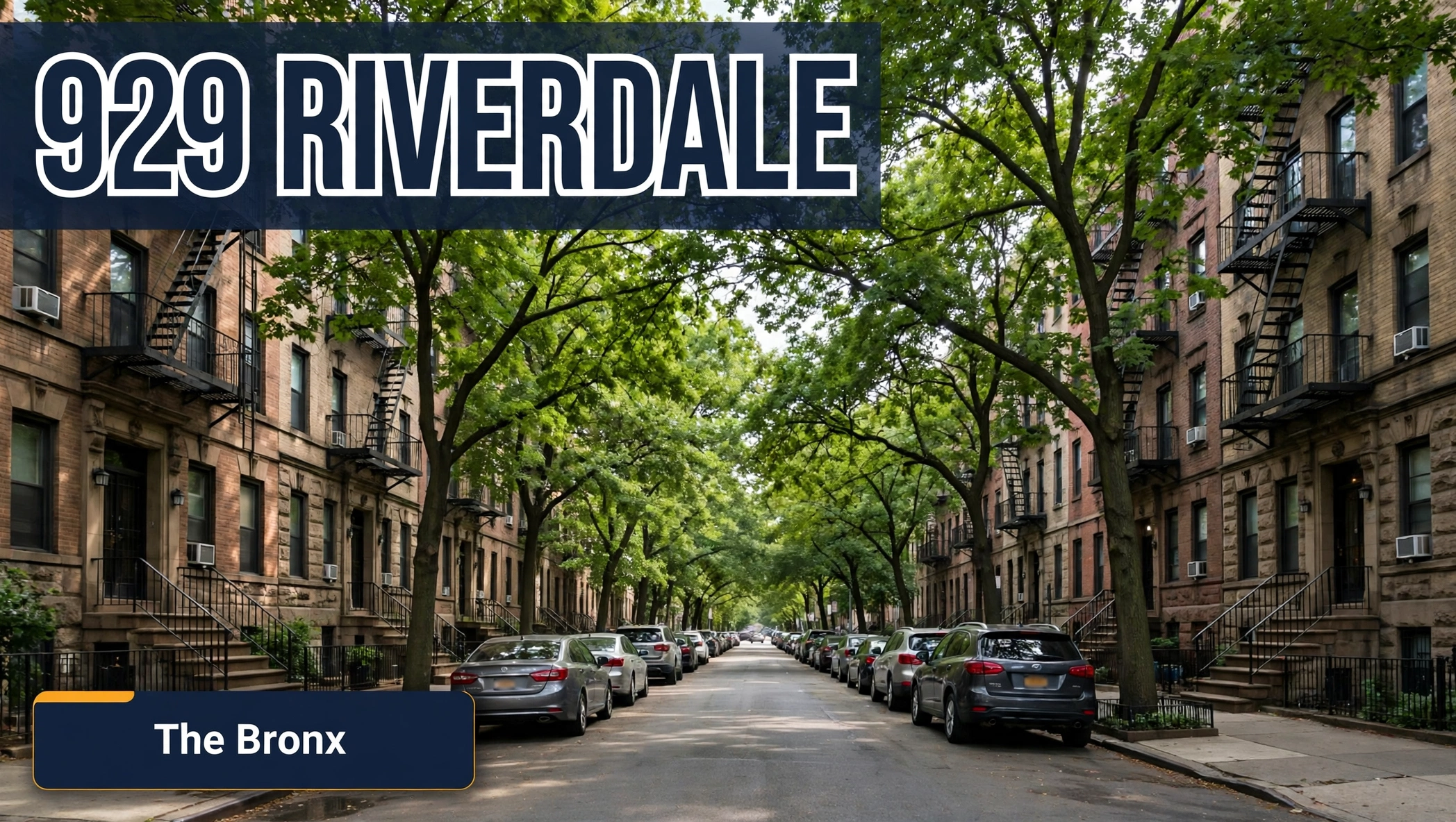 929 area code Riverdale Bronx guide